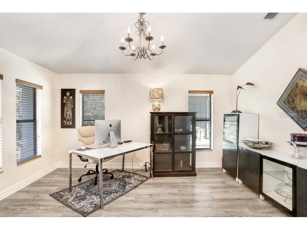 15723 Starling Water Drive Lithia FL 33547 TB8512277 image14