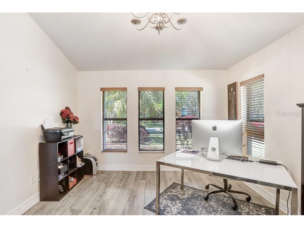 15723 Starling Water Drive Lithia FL 33547 TB8512277 image15