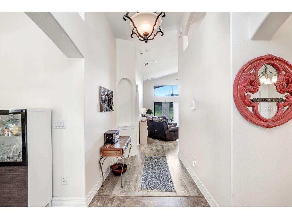 15723 Starling Water Drive Lithia FL 33547 TB8512277 image16