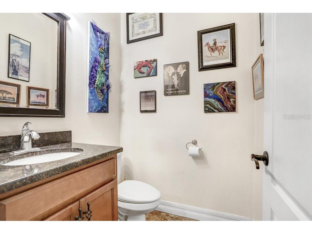 15723 Starling Water Drive Lithia FL 33547 TB8512277 image22