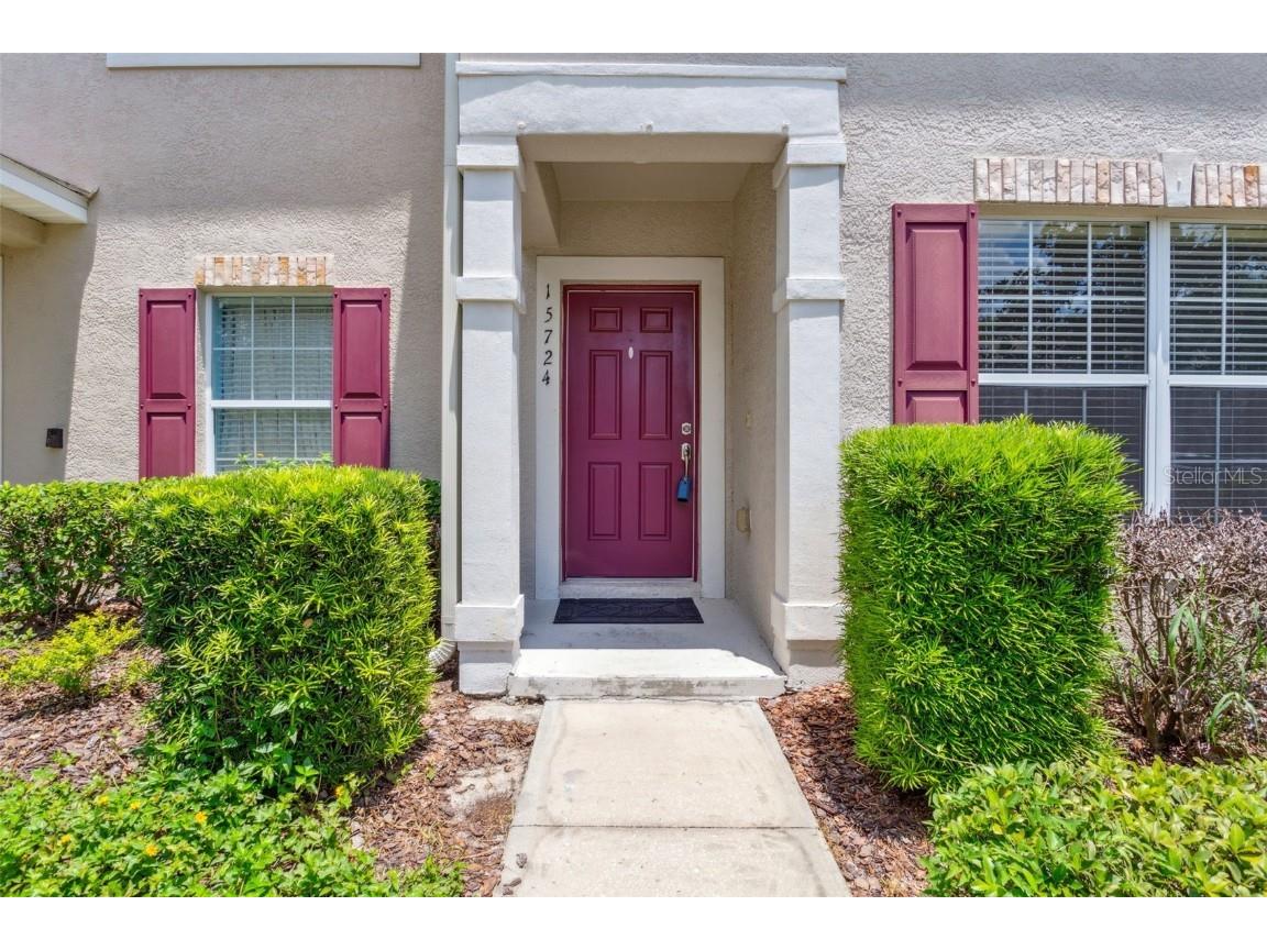 15724 Fishhawk Falls Drive Lithia FL 33547 T3455440 image1