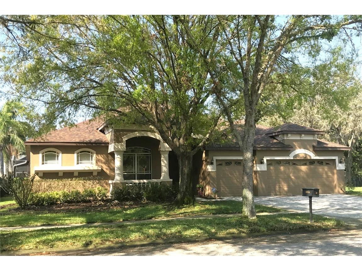 15724 Ibisridge Drive Lithia FL 33547 T3444919 image1