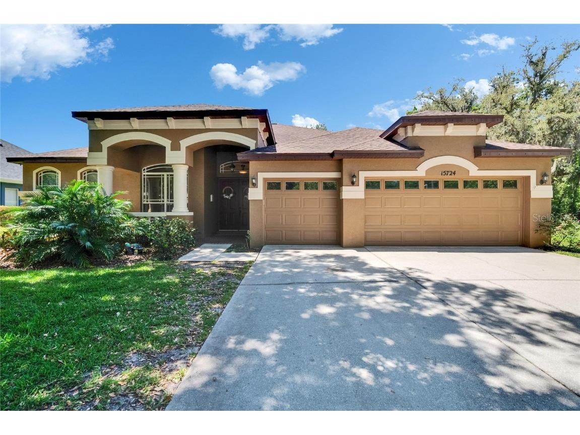 15724 Ibisridge Drive Lithia FL 33547 TB8381349 image1