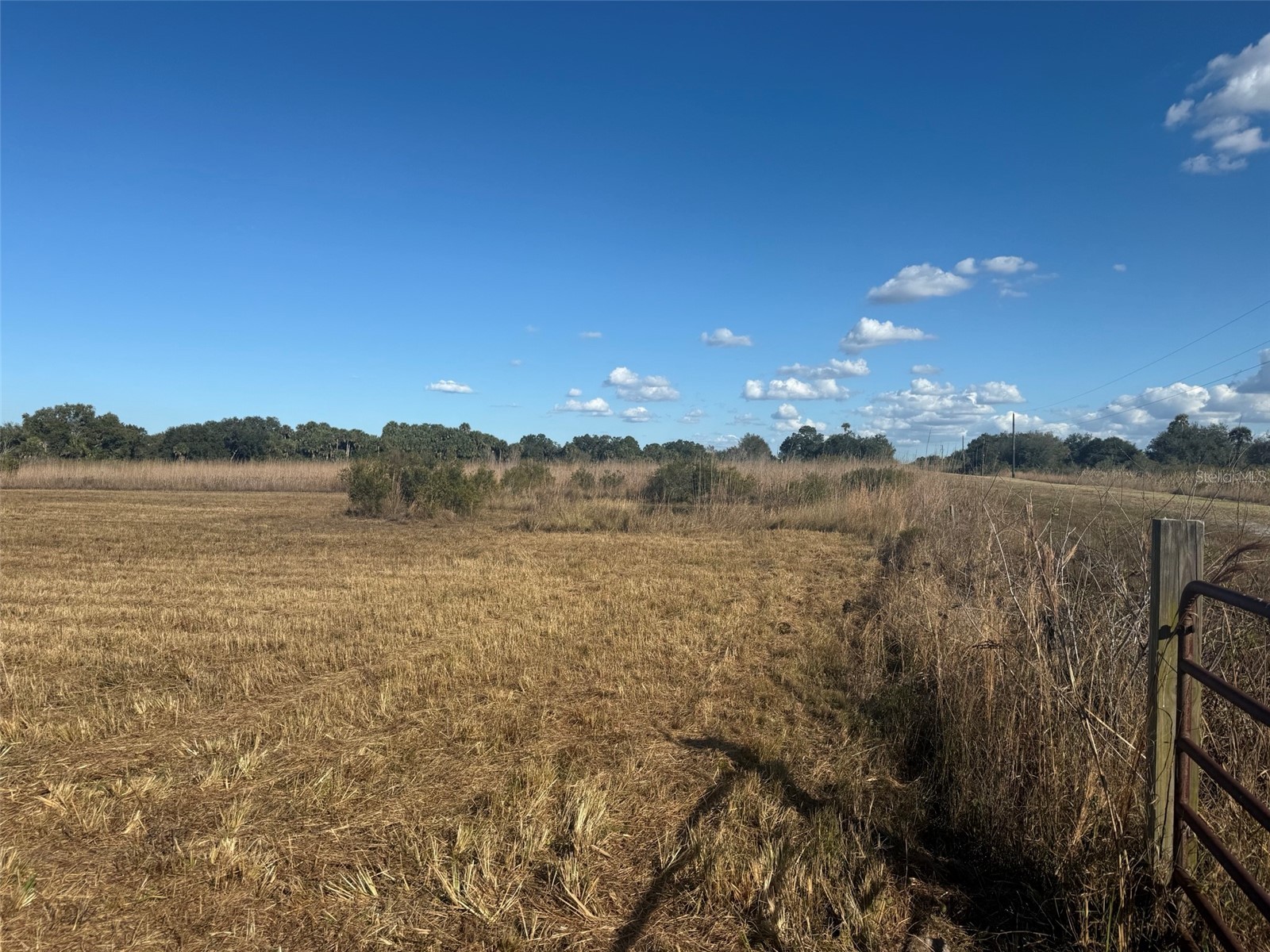 15729 NW 278th Street Okeechobee FL 34972 OK225799 image1