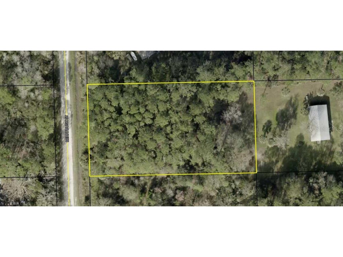 1573 Berrybush Street Bunnell FL 32110 C7481205 image1