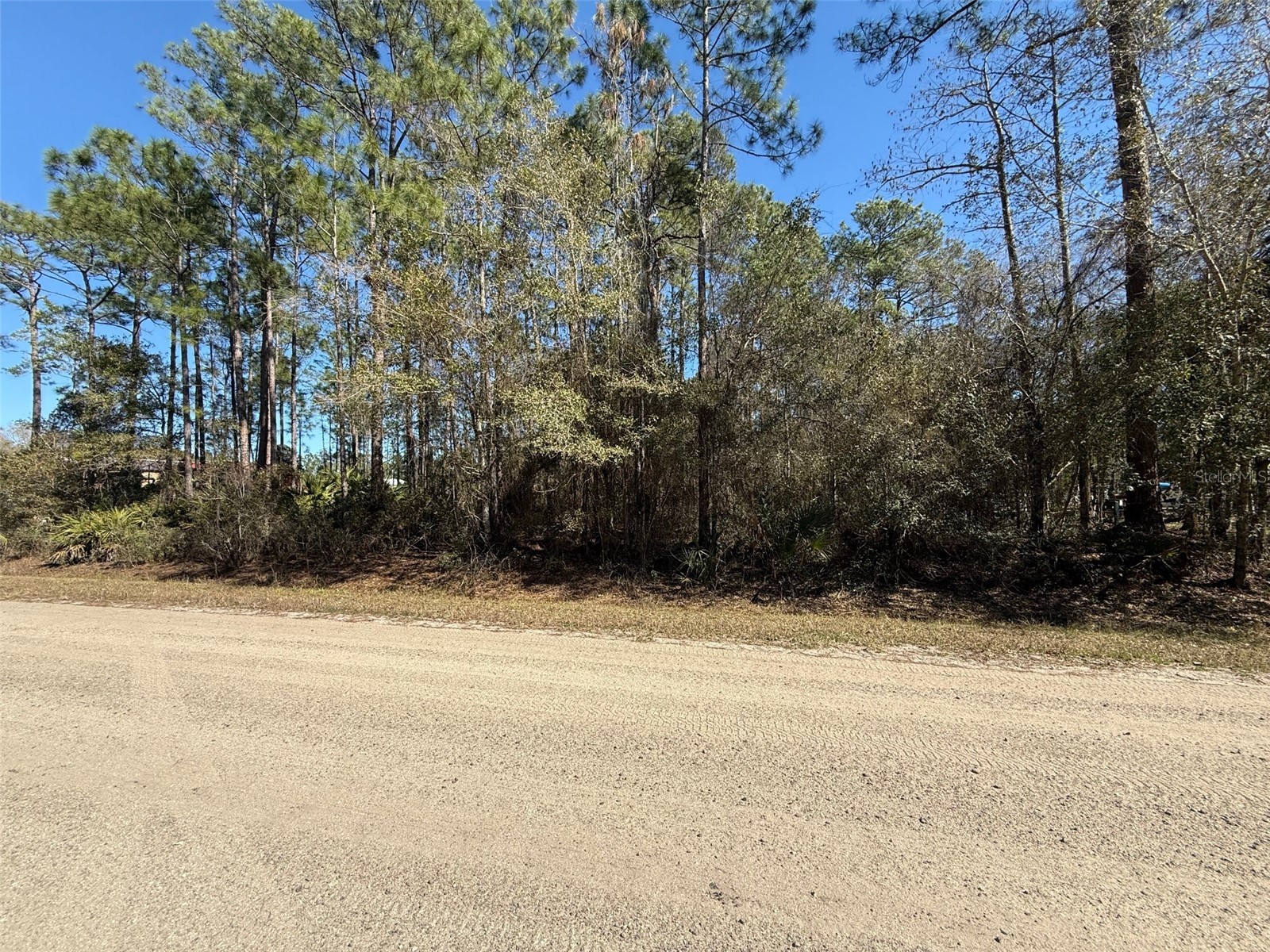 1573 Laurel Avenue Bunnell FL 32110 NS1087287 image1