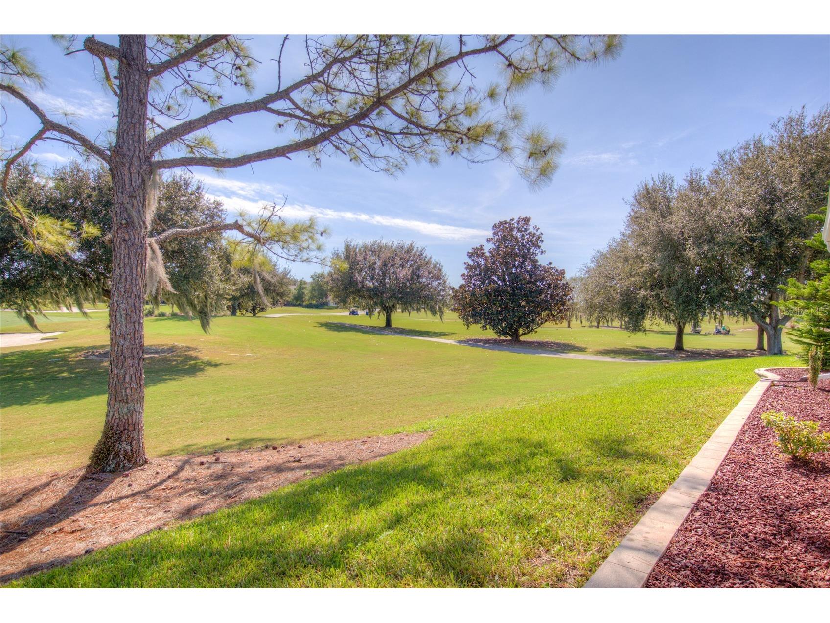 1573 Norfolk Avenue The Villages FL 32162 TB8444254 image48