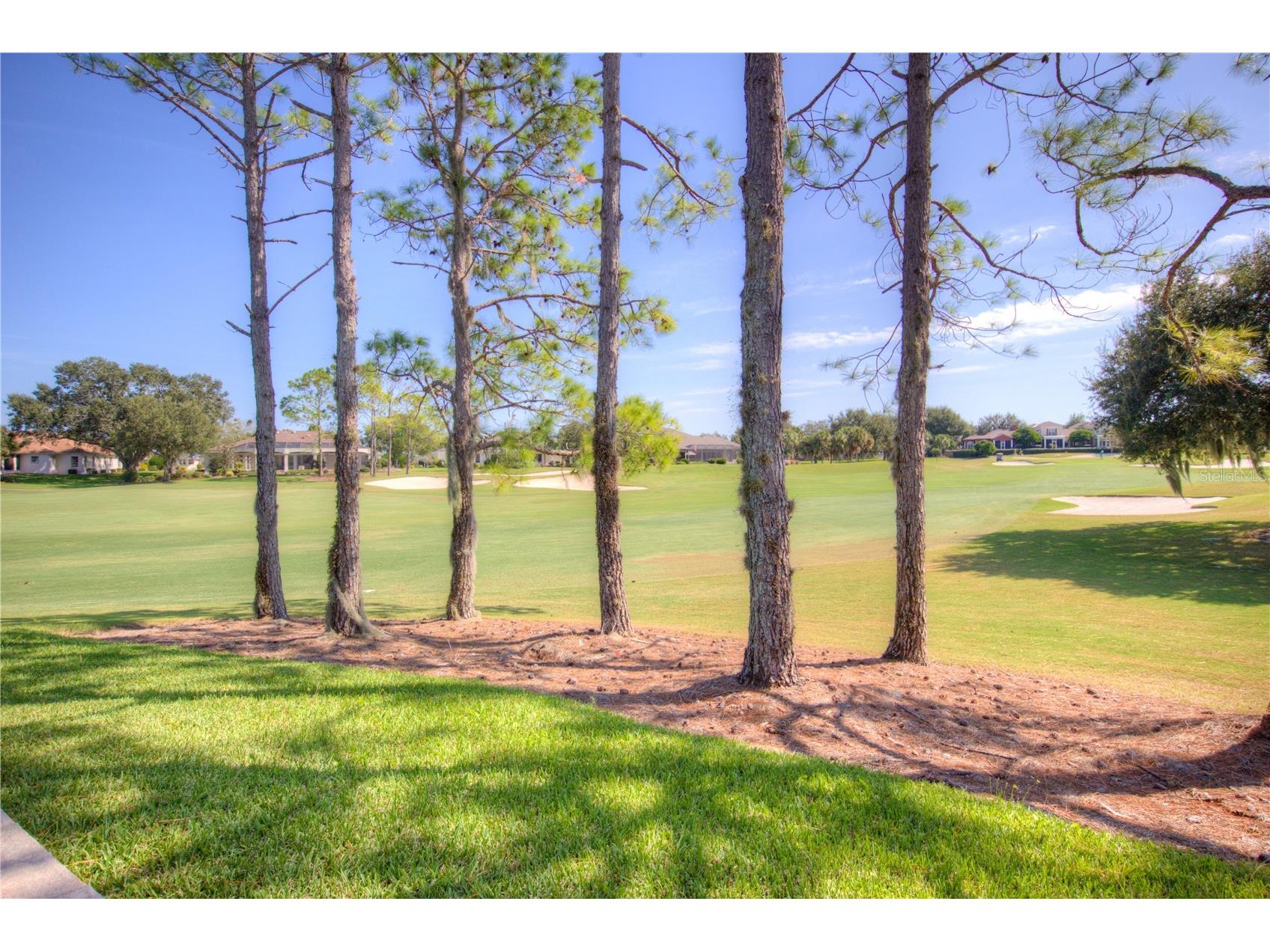 1573 Norfolk Avenue The Villages FL 32162 TB8444254 image49