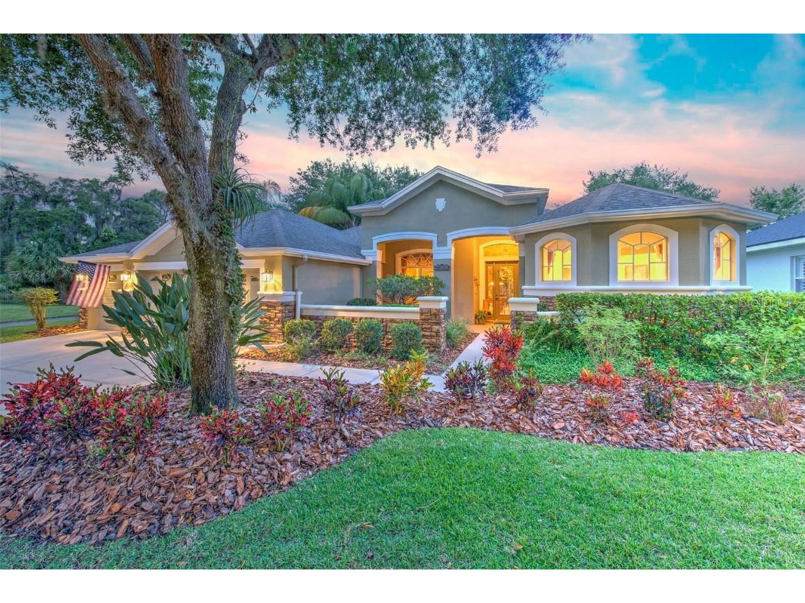 15730 Ibisridge Dr Lithia FL 33547 T3529872 image1