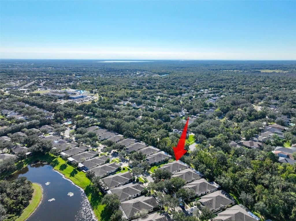 15731 Phoebepark Avenue Lithia FL 33547 TB8443304 image36