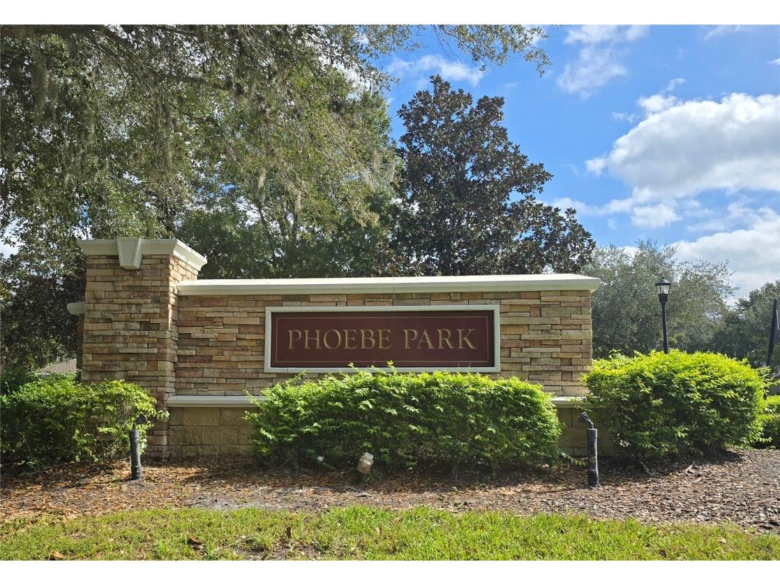 15731 Phoebepark Avenue Lithia FL 33547 TB8443304 image37