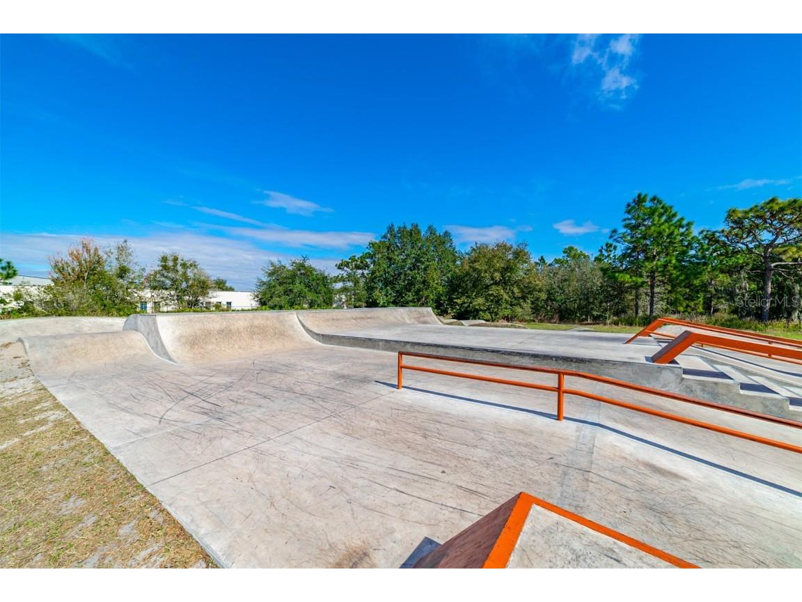 15731 Phoebepark Avenue Lithia FL 33547 TB8443304 image42