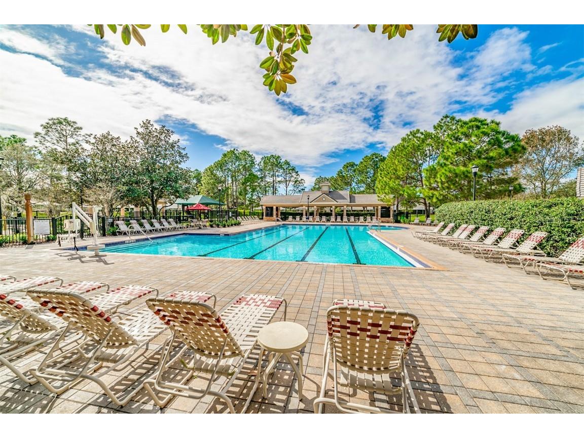 15731 Phoebepark Avenue Lithia FL 33547 TB8443304 image45