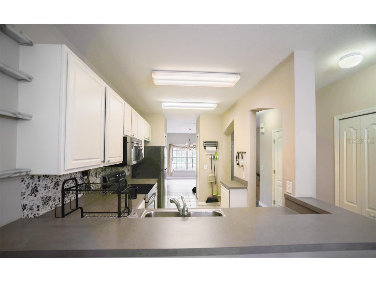 15733 Fishhawk Falls Drive Lithia FL 33547 TB8368250 image10