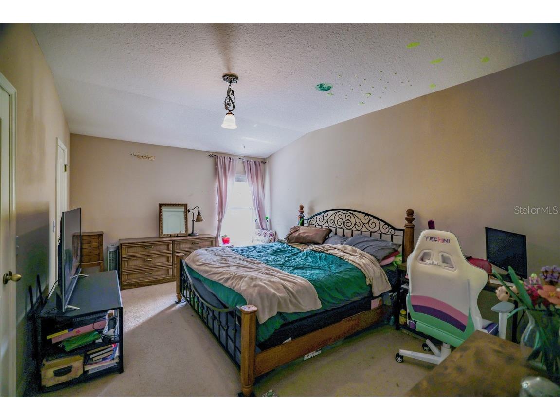 15733 Fishhawk Falls Drive Lithia FL 33547 TB8368250 image18