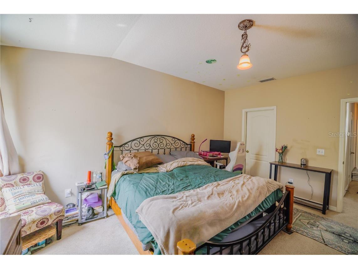 15733 Fishhawk Falls Drive Lithia FL 33547 TB8368250 image19