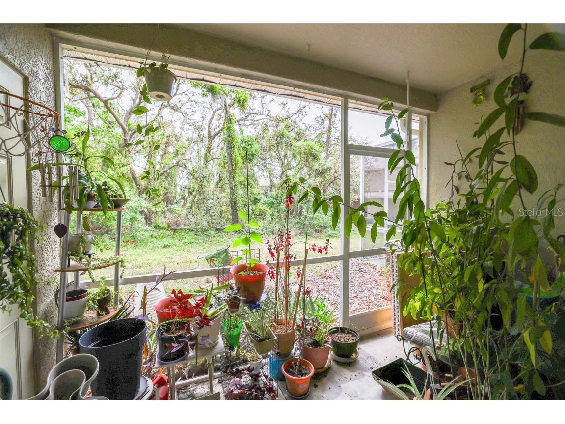 15733 Fishhawk Falls Drive Lithia FL 33547 TB8368250 image21