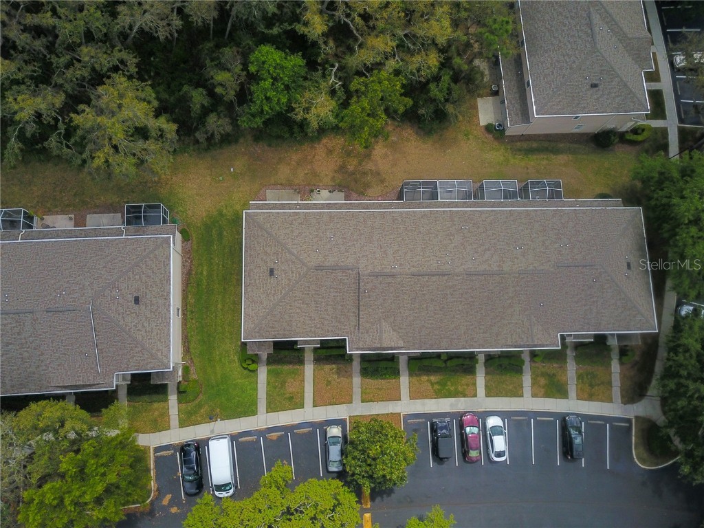 15733 Fishhawk Falls Drive Lithia FL 33547 TB8368250 image23