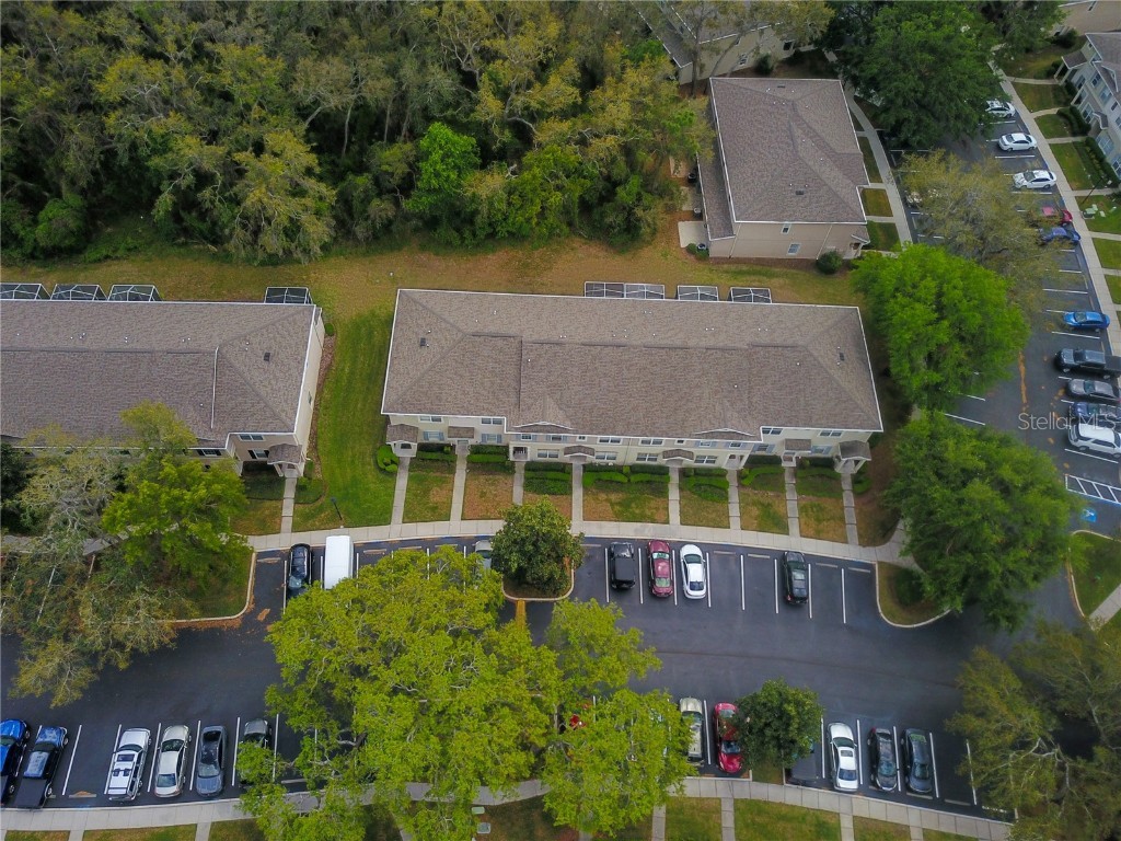 15733 Fishhawk Falls Drive Lithia FL 33547 TB8368250 image24