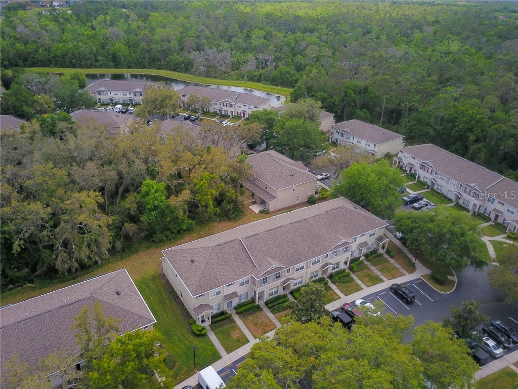 15733 Fishhawk Falls Drive Lithia FL 33547 TB8368250 image25