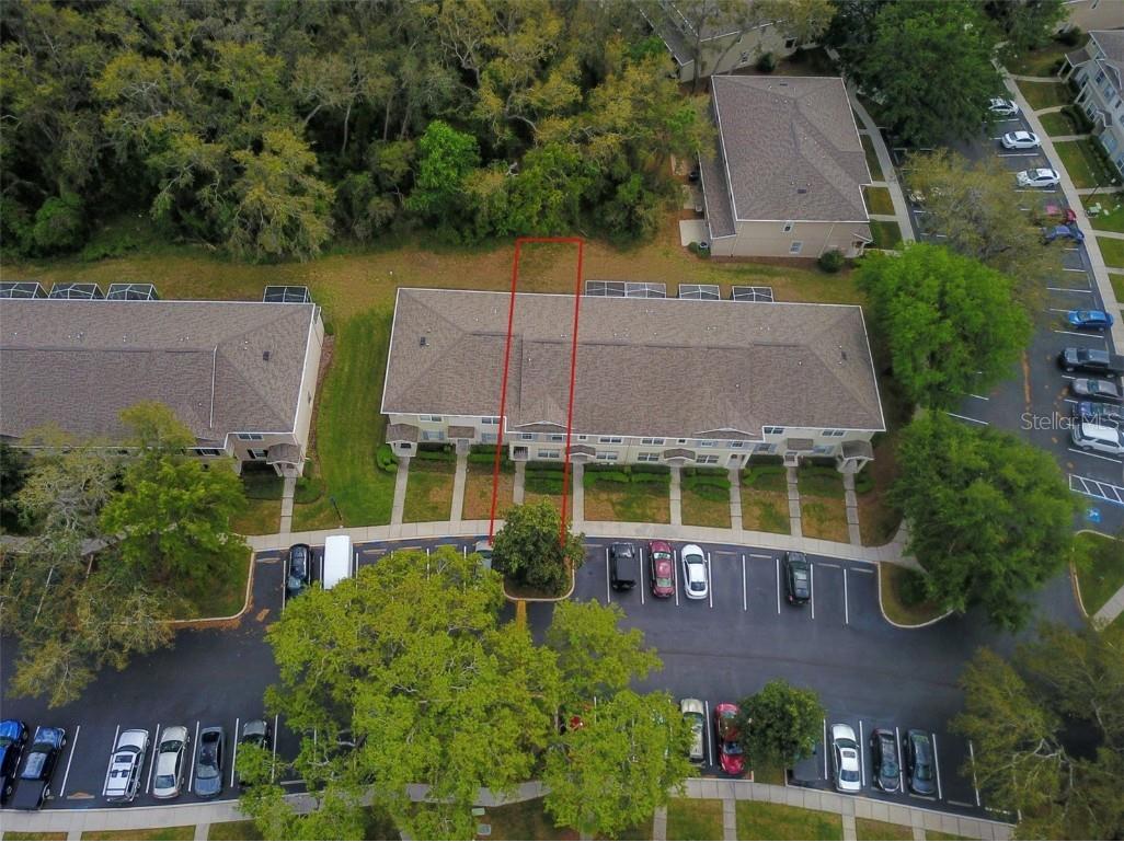 15733 Fishhawk Falls Drive Lithia FL 33547 TB8368250 image26