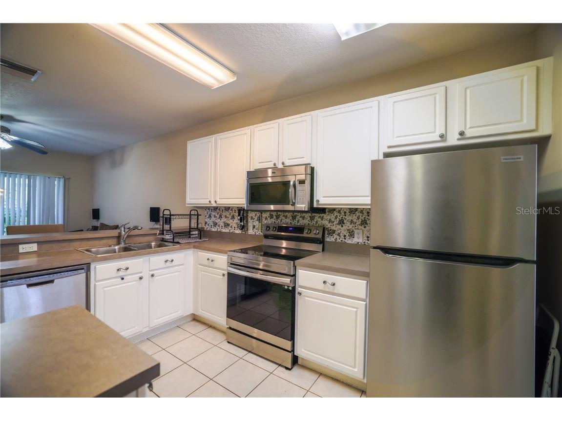 15733 Fishhawk Falls Drive Lithia FL 33547 TB8368250 image8