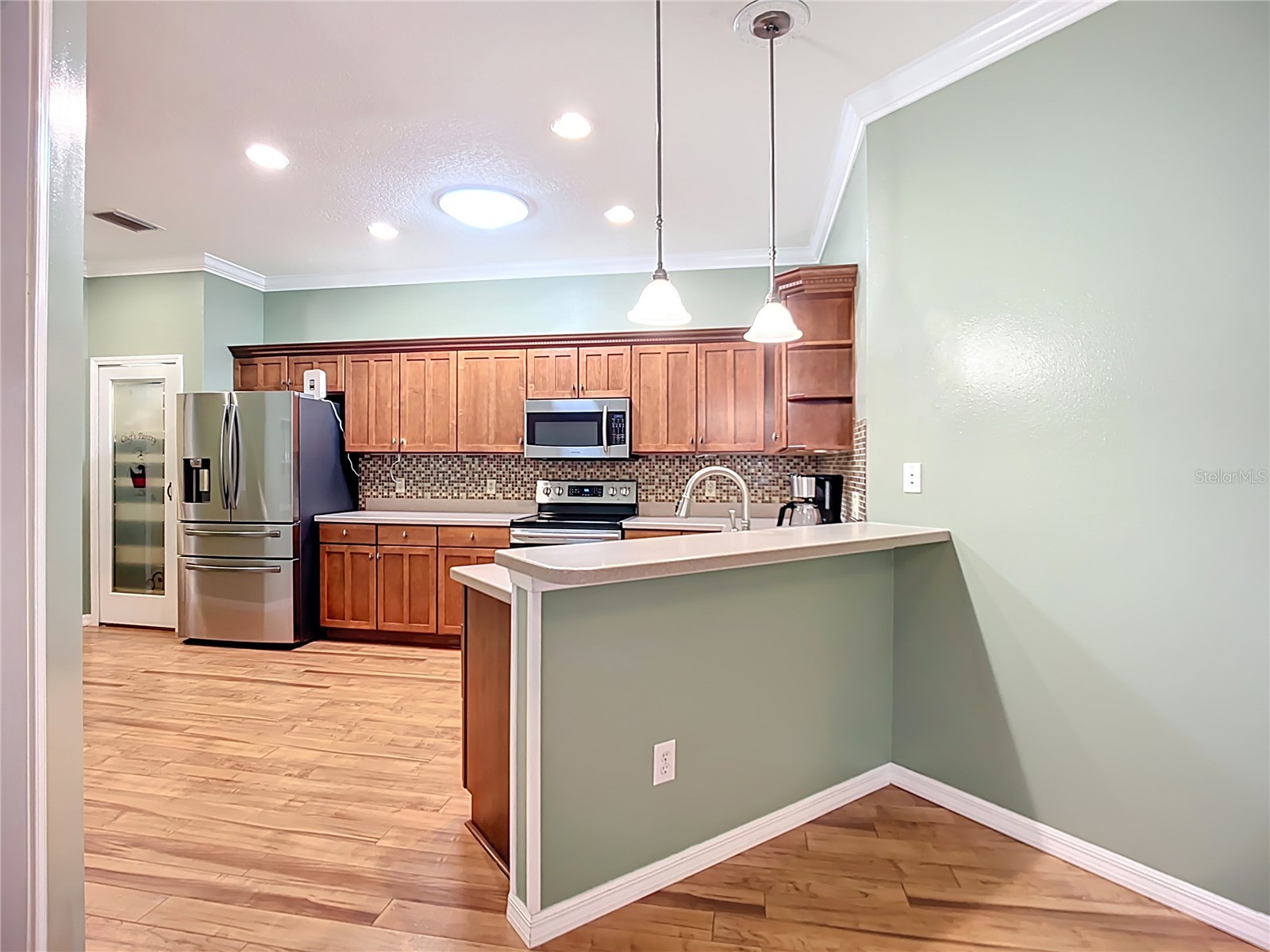 15733 Phoebepark Avenue Lithia FL 33547 TB8420377 image13