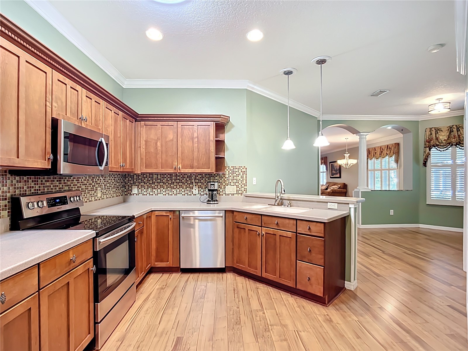 15733 Phoebepark Avenue Lithia FL 33547 TB8420377 image16