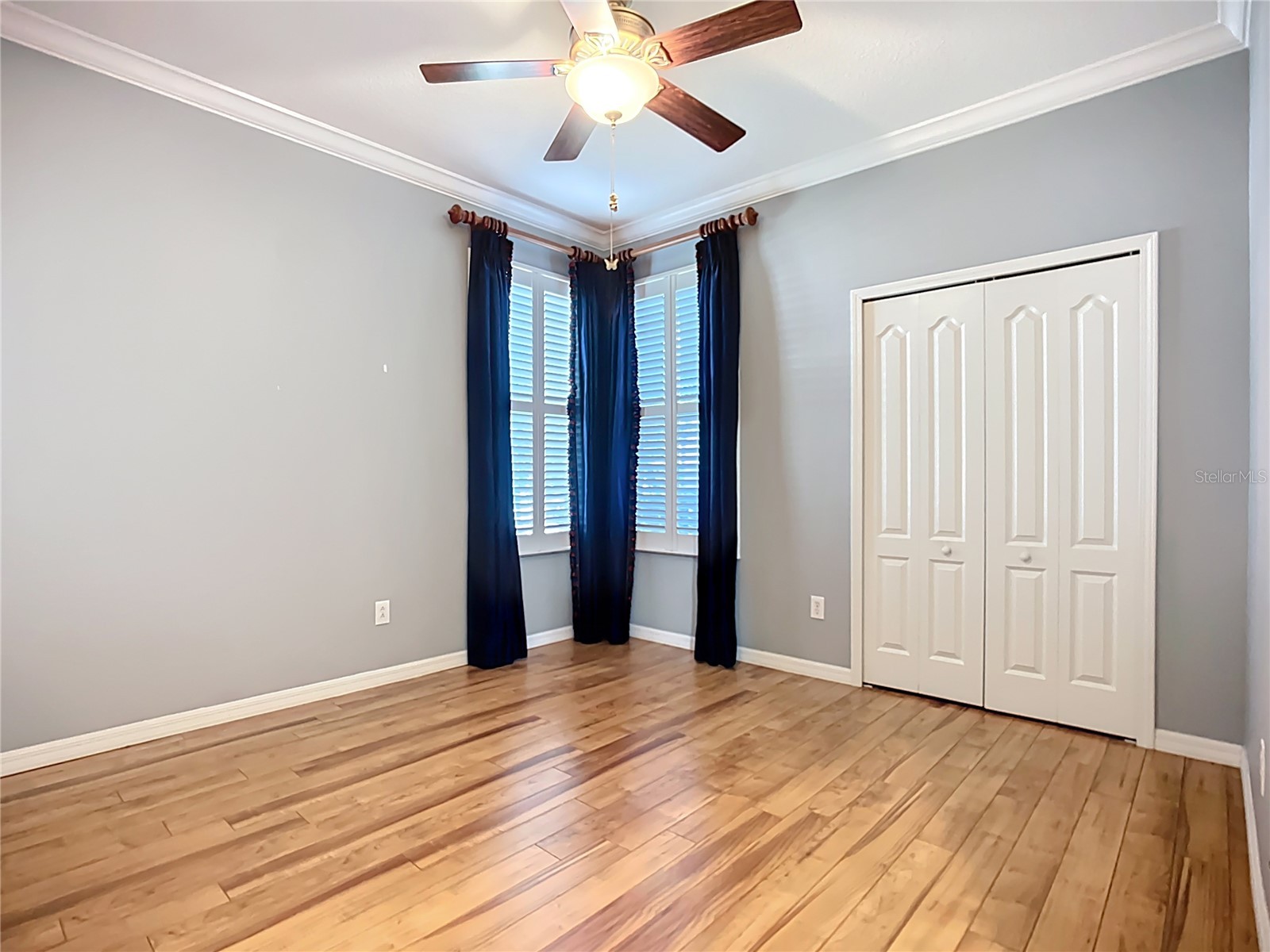 15733 Phoebepark Avenue Lithia FL 33547 TB8420377 image29