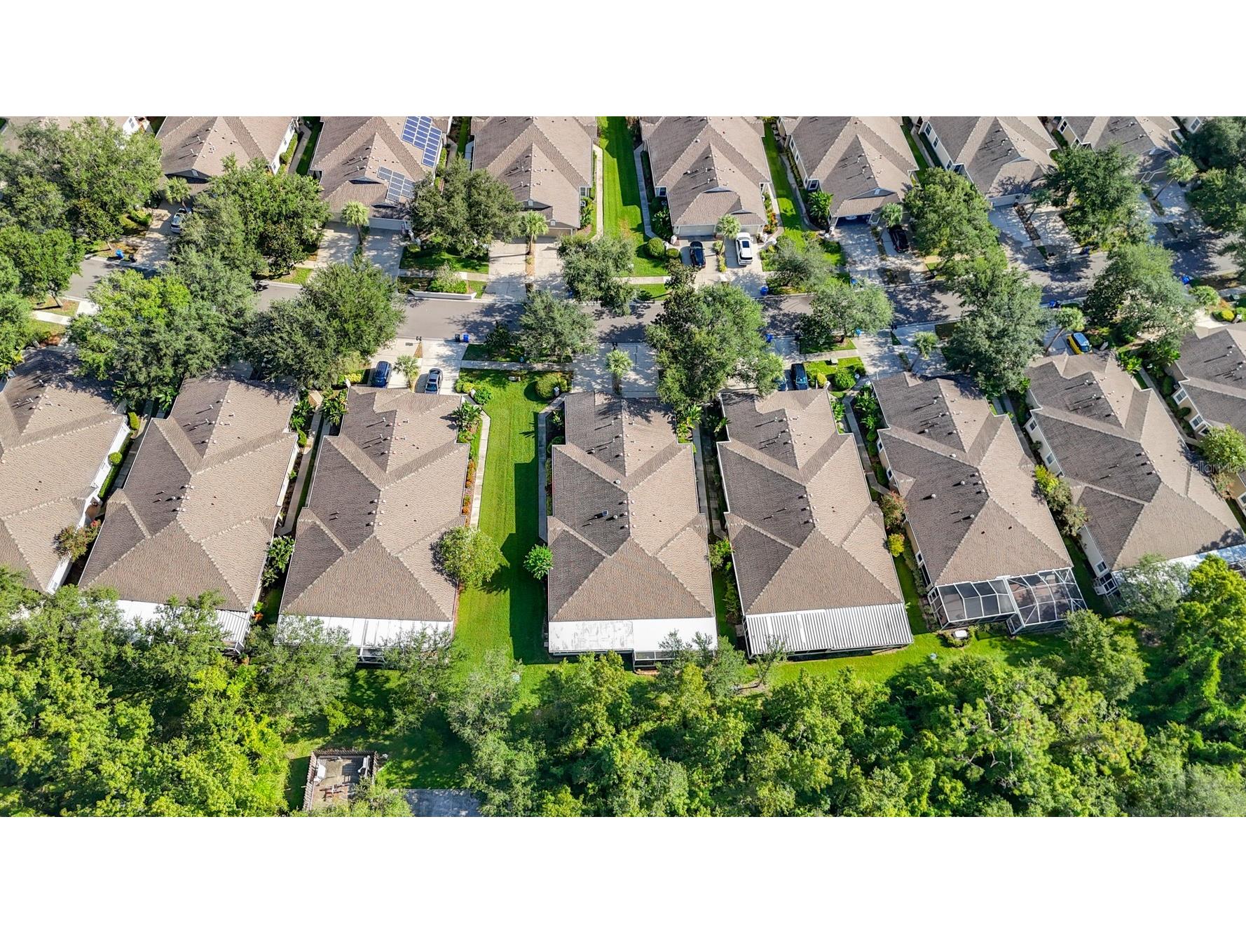 15733 Phoebepark Avenue Lithia FL 33547 TB8420377 image47