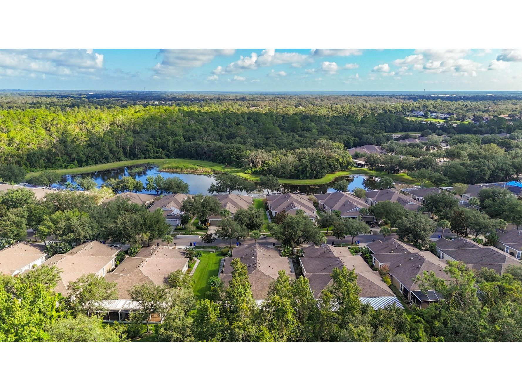 15733 Phoebepark Avenue Lithia FL 33547 TB8420377 image48