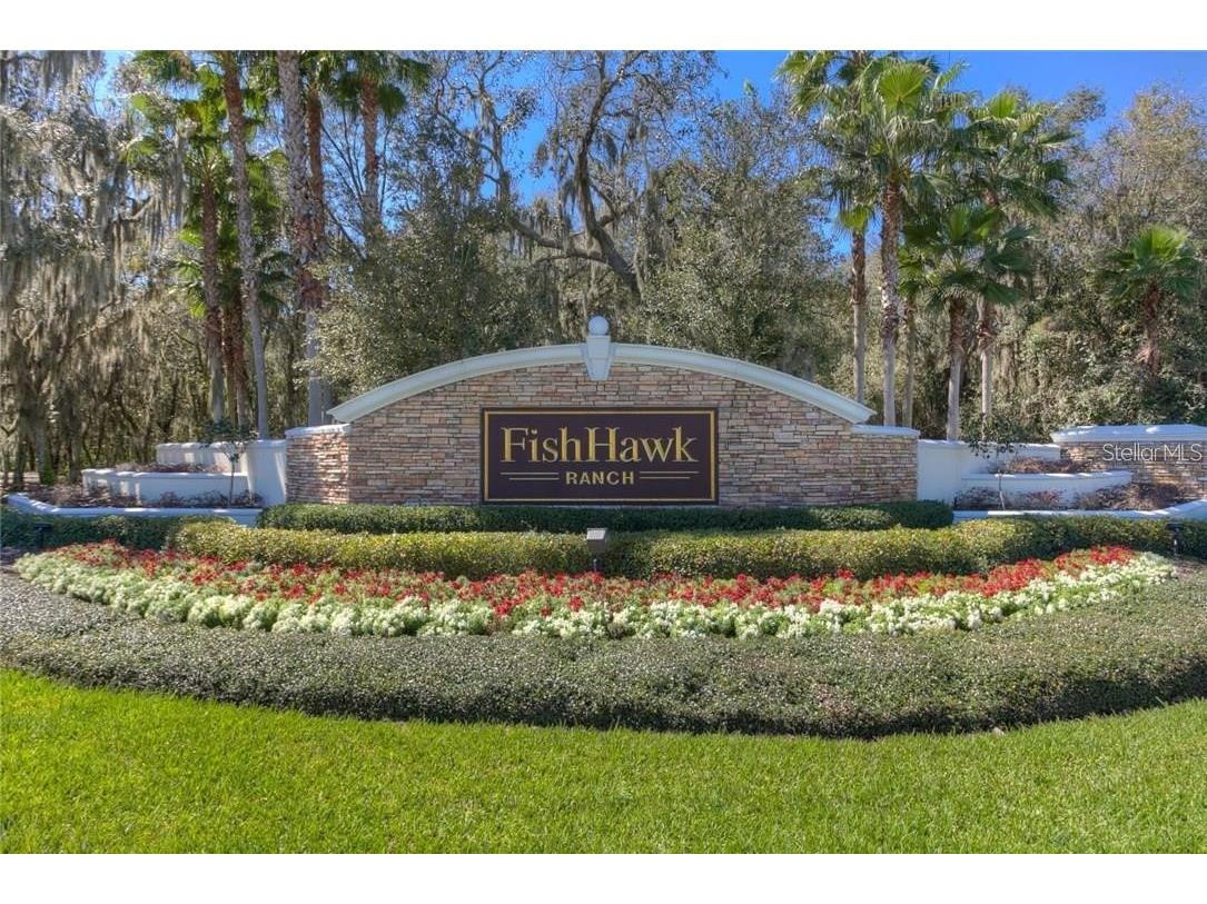 15733 Phoebepark Avenue Lithia FL 33547 TB8420377 image50