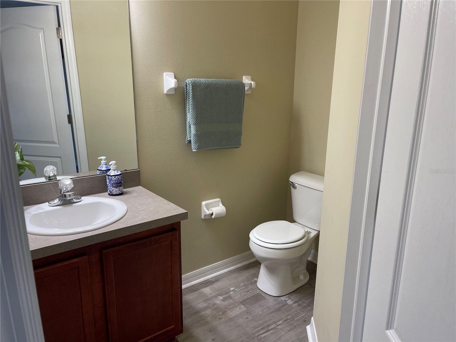 15733 Stable Run Drive Spring Hill FL 34610 C7521574 image19