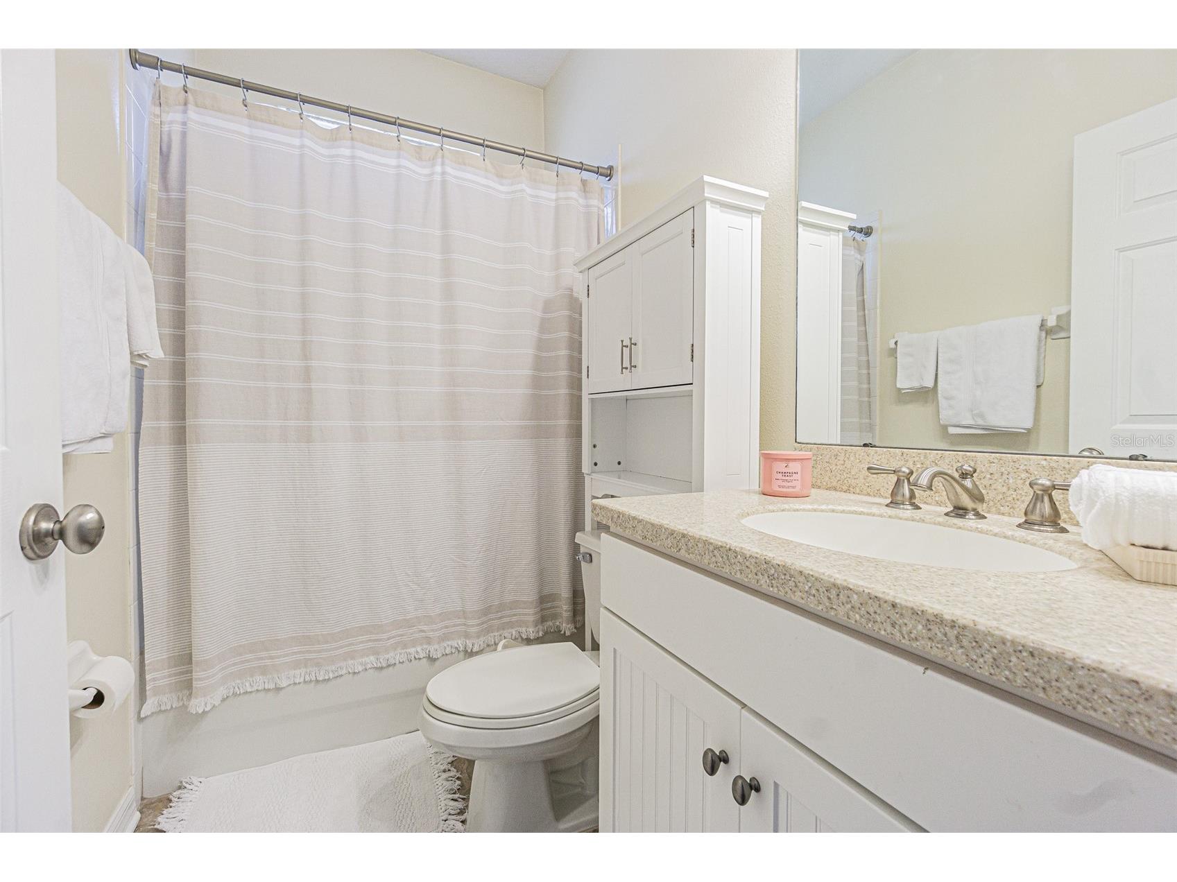 15735 Cedar Elm Terrace Land O Lakes FL 34638 TB8488560 image12