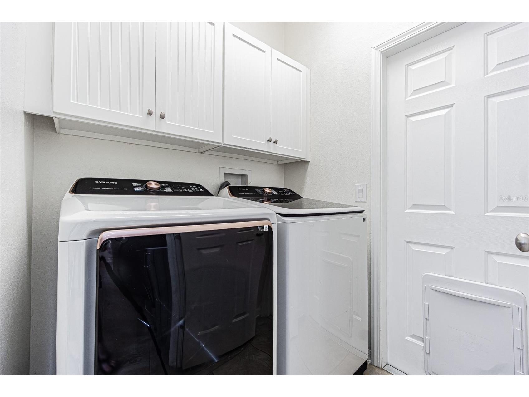 15735 Cedar Elm Terrace Land O Lakes FL 34638 TB8488560 image21