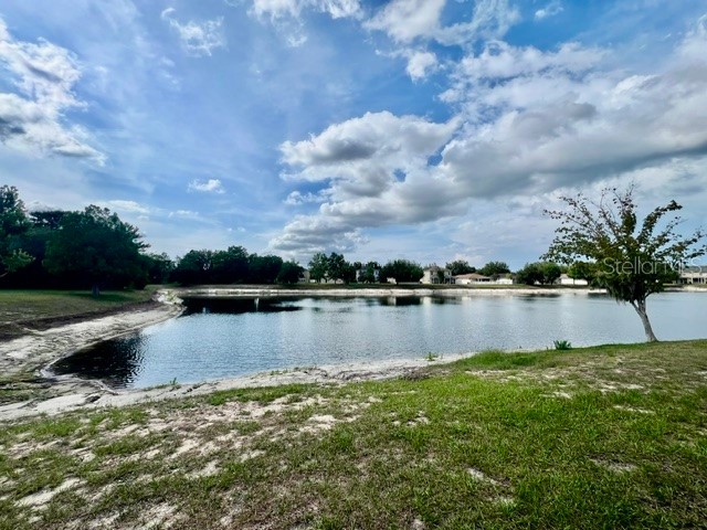 15735 Stable Run Drive Spring Hill FL 34610 W7886075 image43