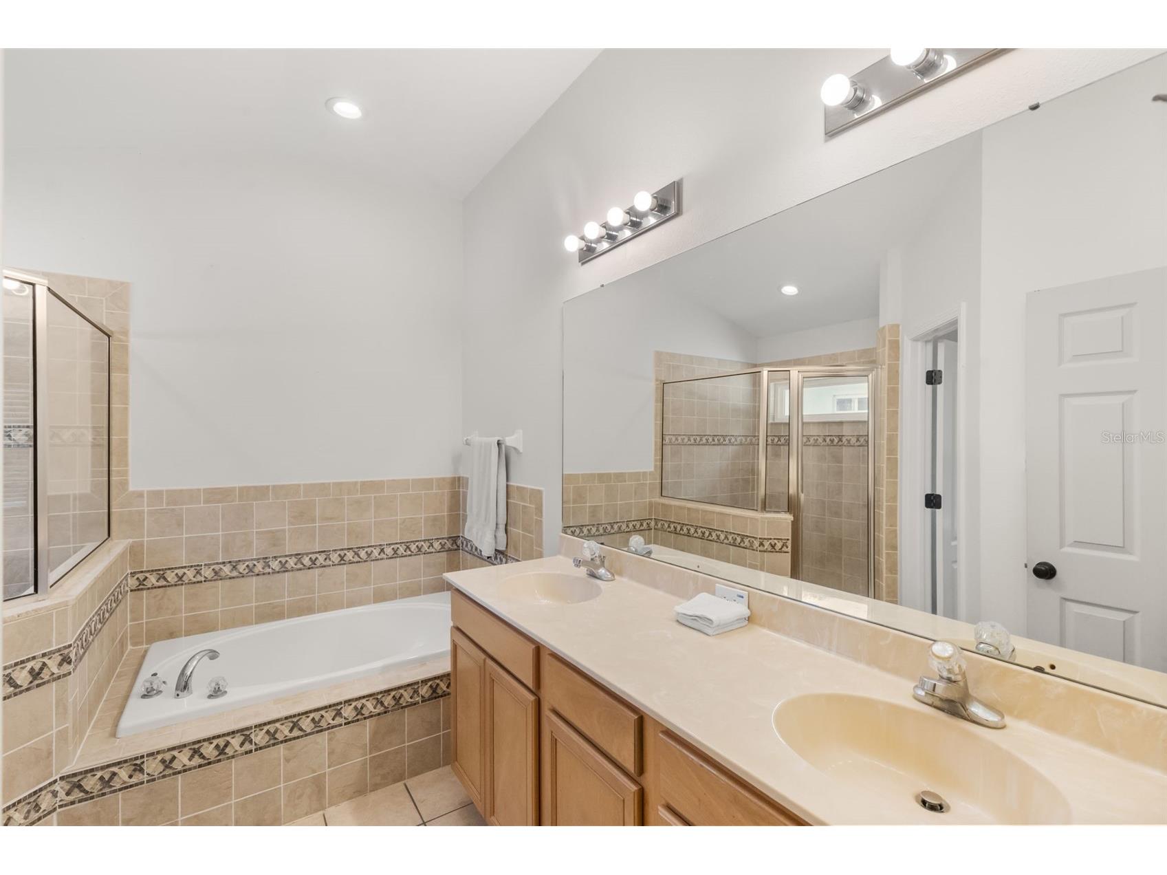 15738 Cedar Elm Terrace Land O Lakes FL 34638 TB8512561 image10