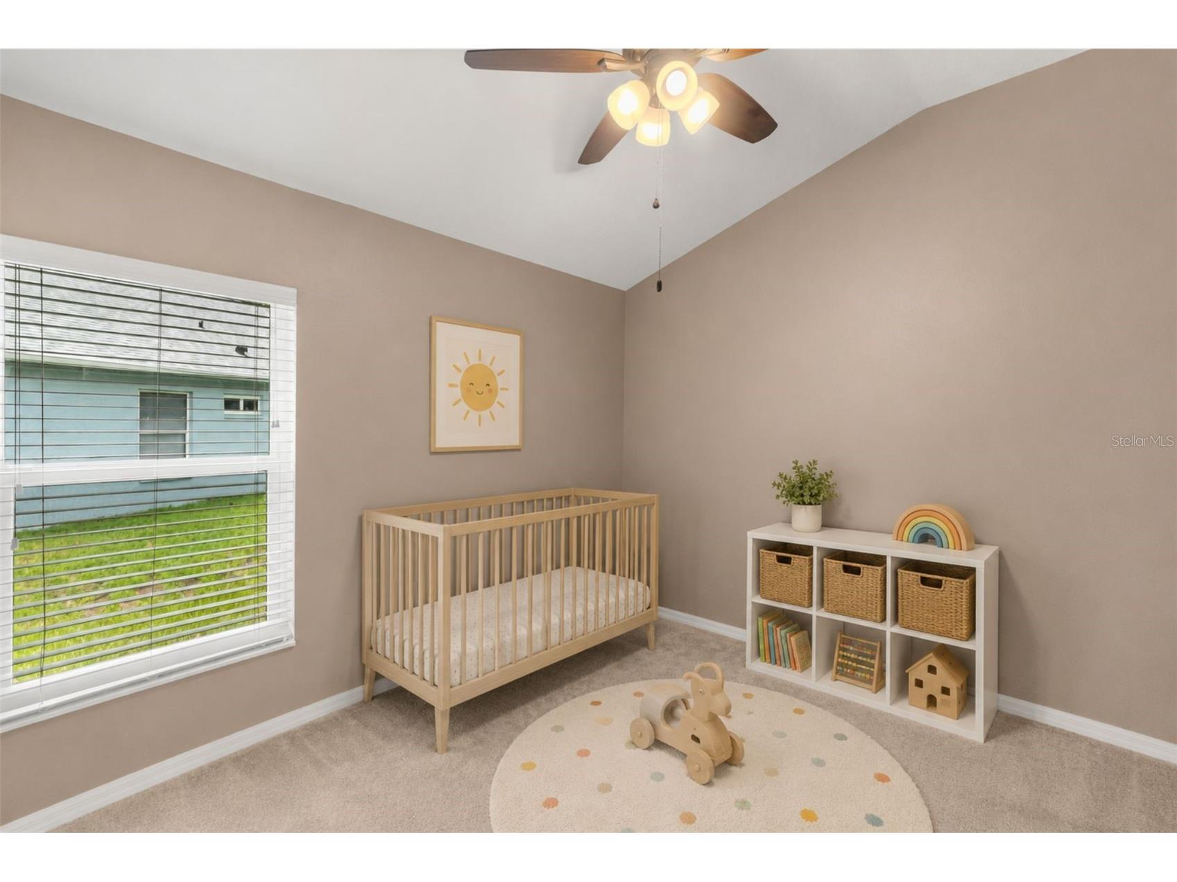 15738 Cedar Elm Terrace Land O Lakes FL 34638 TB8512561 image12