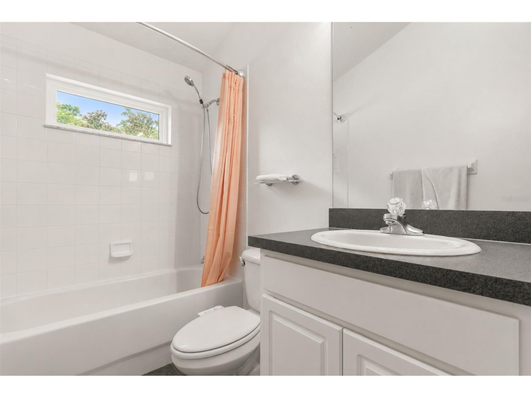15738 Cedar Elm Terrace Land O Lakes FL 34638 TB8512561 image13