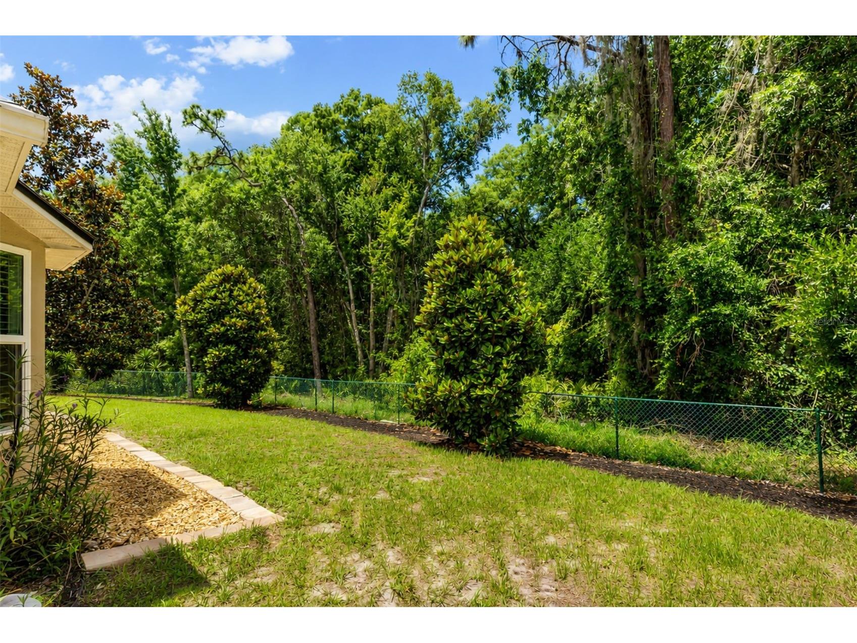 15738 Cedar Elm Terrace Land O Lakes FL 34638 TB8512561 image16