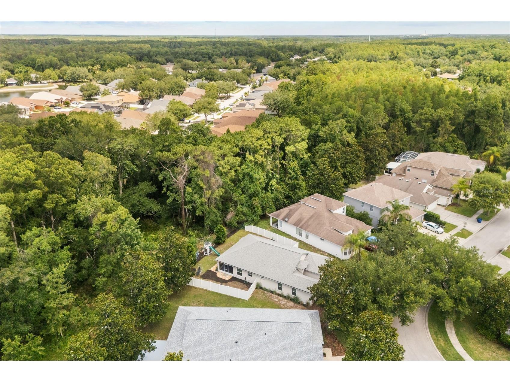 15738 Cedar Elm Terrace Land O Lakes FL 34638 TB8512561 image17