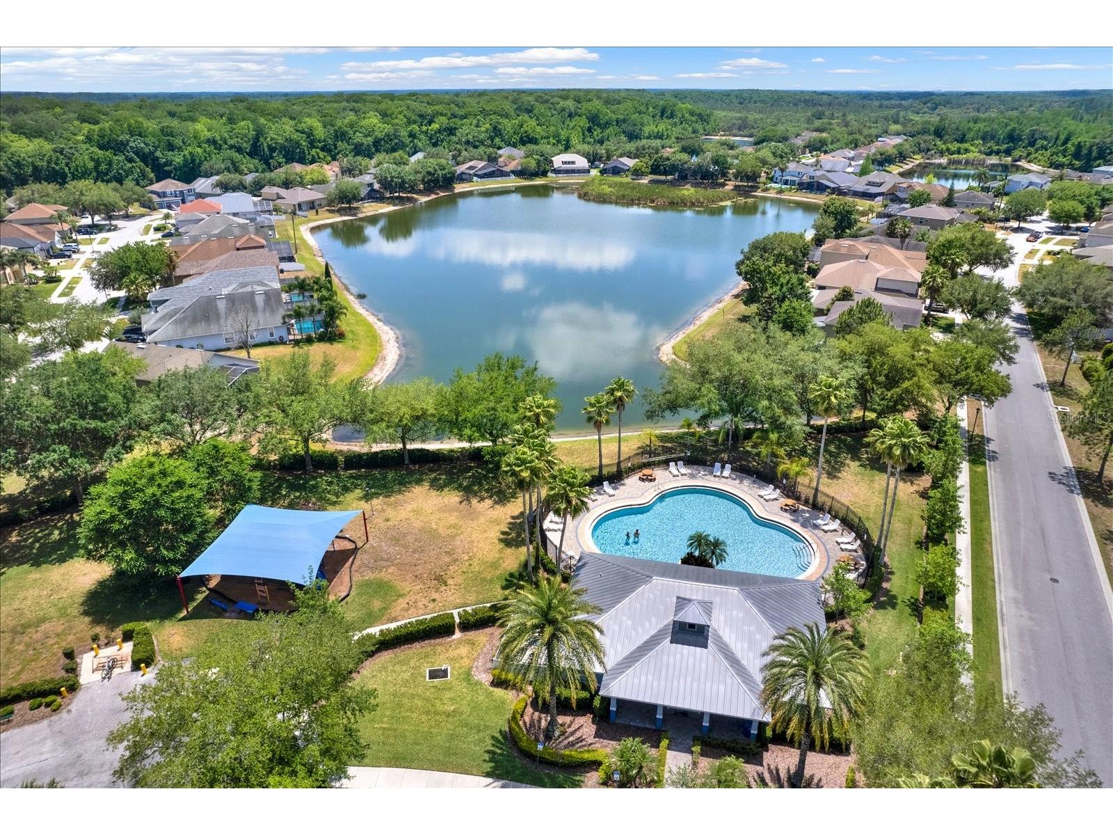 15738 Cedar Elm Terrace Land O Lakes FL 34638 TB8512561 image18
