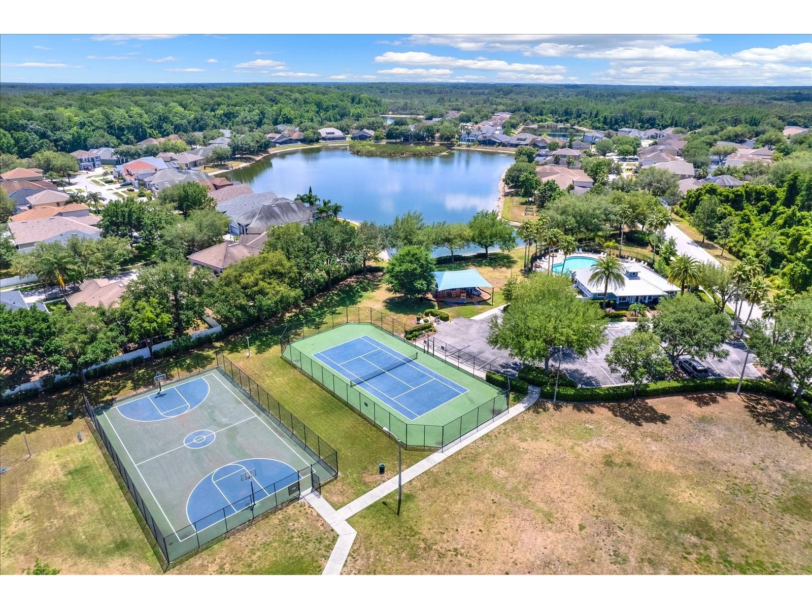 15738 Cedar Elm Terrace Land O Lakes FL 34638 TB8512561 image20