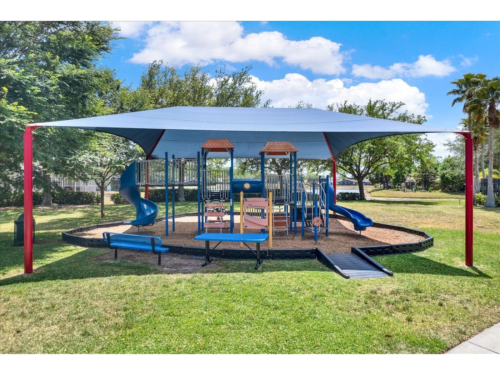 15738 Cedar Elm Terrace Land O Lakes FL 34638 TB8512561 image22