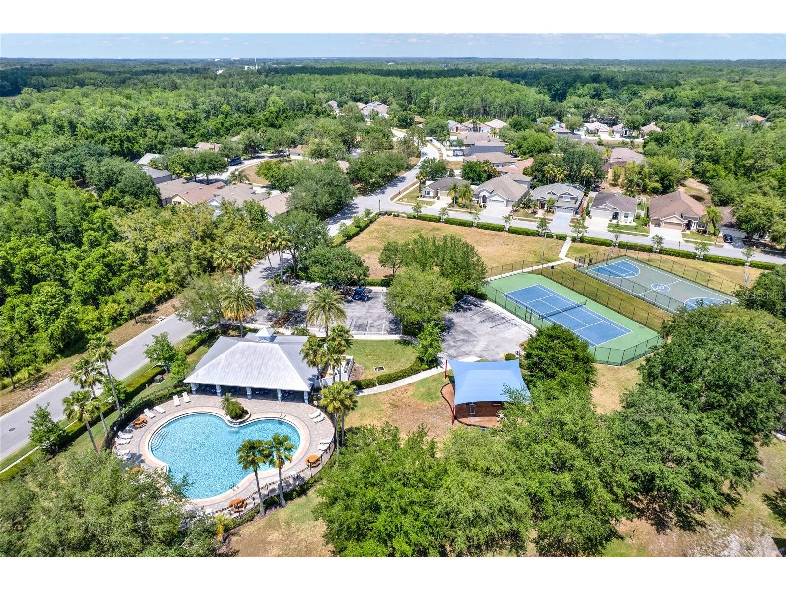 15738 Cedar Elm Terrace Land O Lakes FL 34638 TB8512561 image23