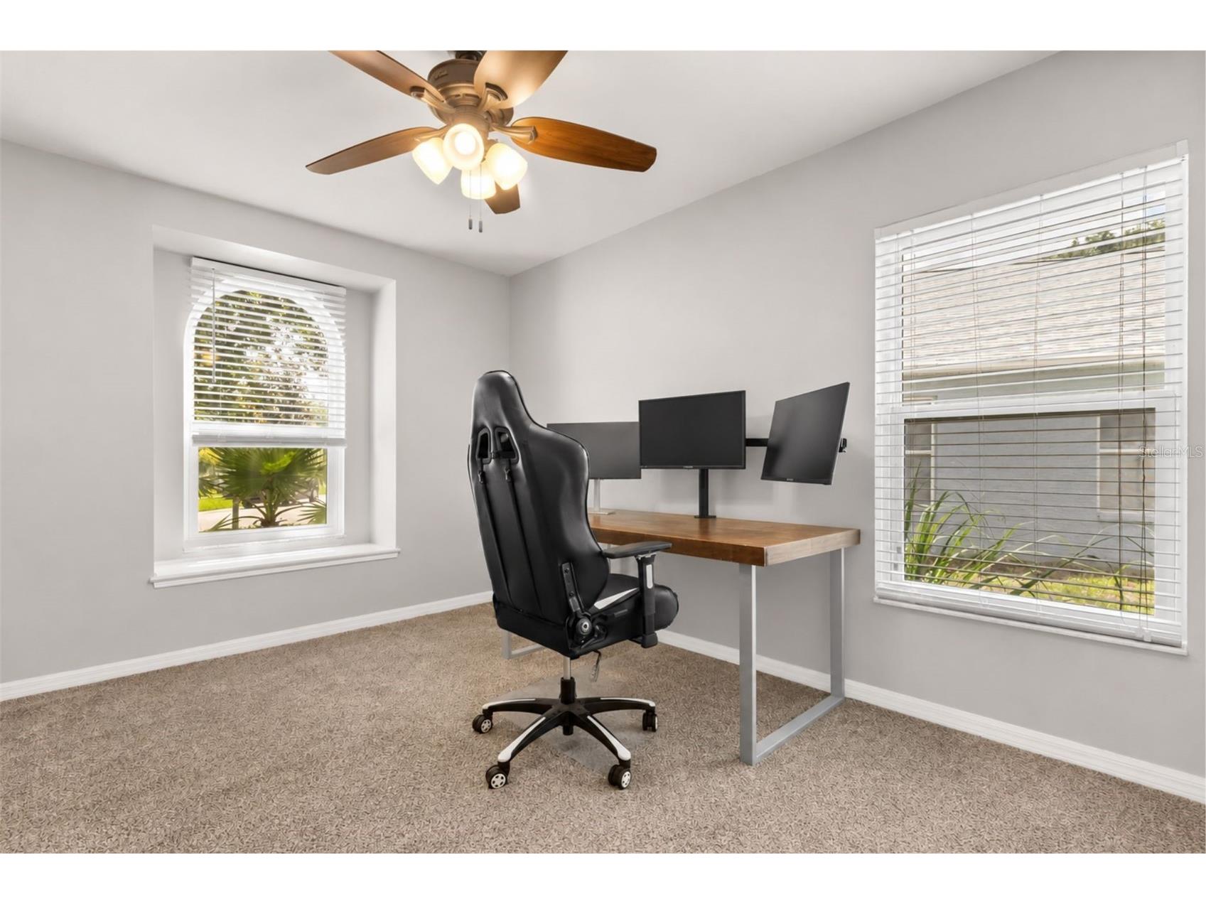 15738 Cedar Elm Terrace Land O Lakes FL 34638 TB8512561 image8