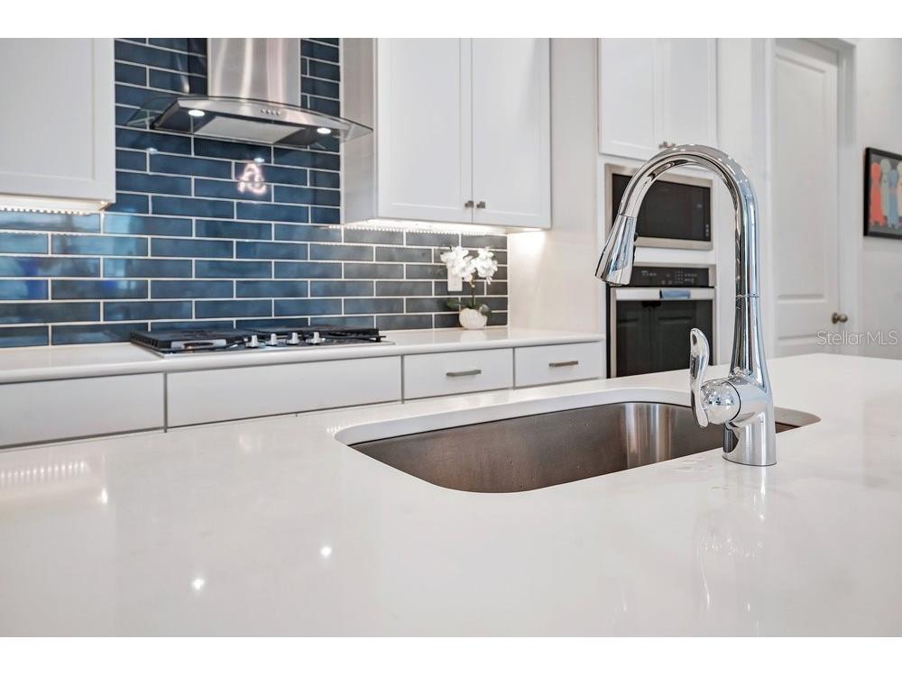 15738 Vetta Drive Montverde FL 34756 O6425293 image13