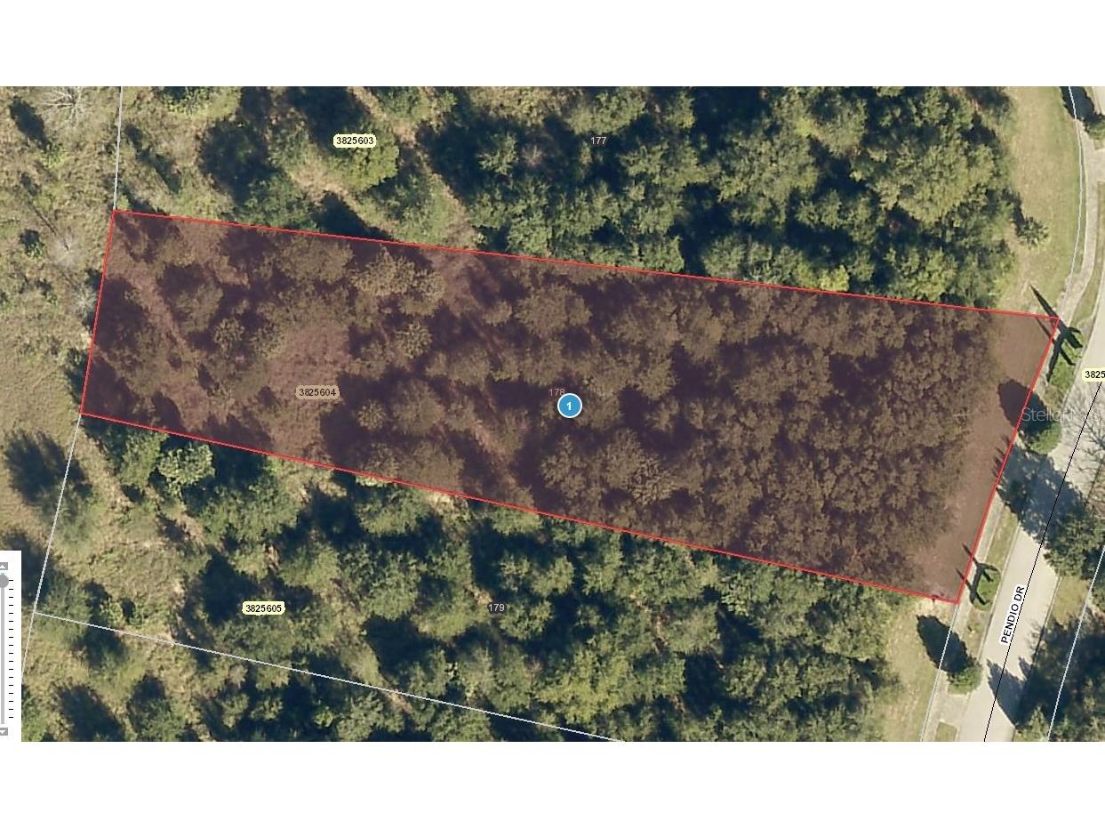 15742 Pendio Drive Montverde FL 34756 J947436 image1