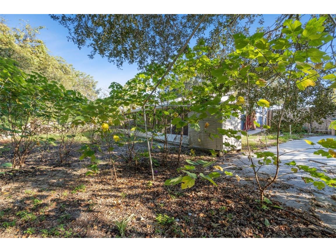 15747 Old Highway 50 Clermont FL 34711 O6361649 image15