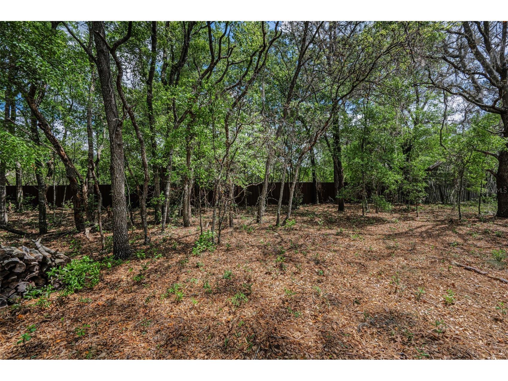 15747 Sago Drive Brooksville FL 34604 TB8494254 image42